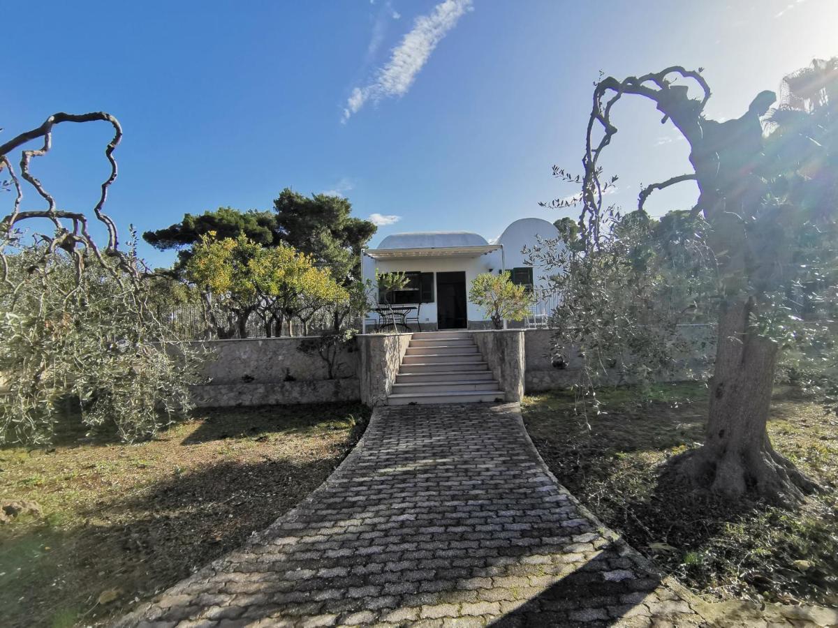 Tenuta Solleone Пескічі Екстер'єр фото