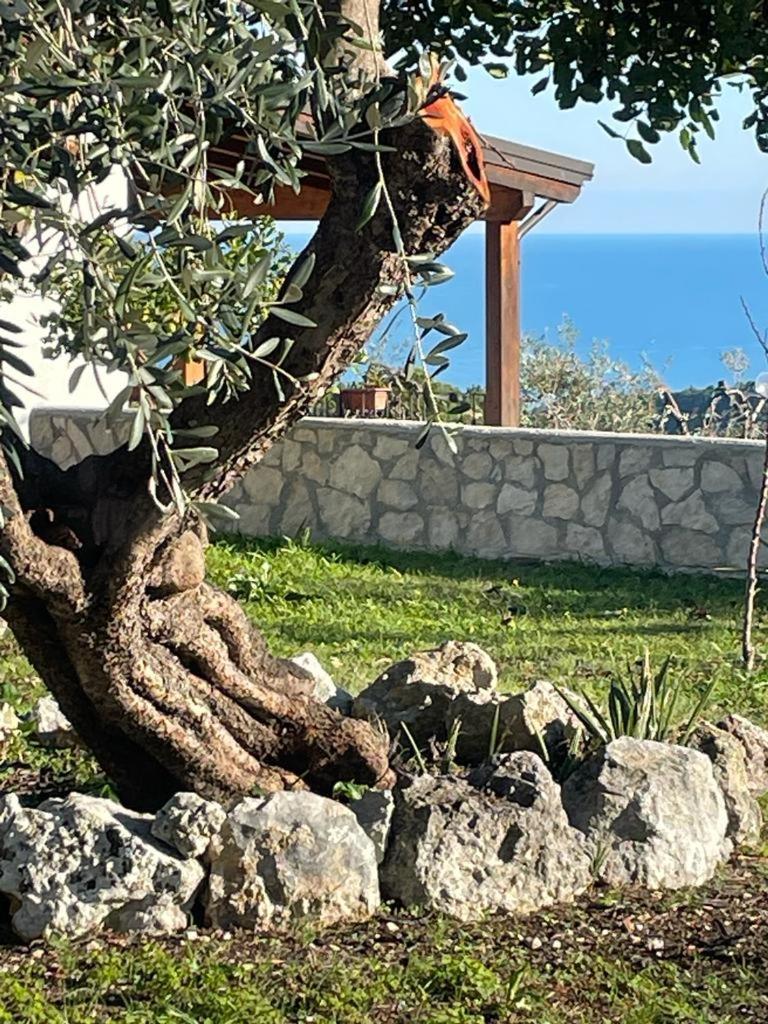 Tenuta Solleone Пескічі Екстер'єр фото